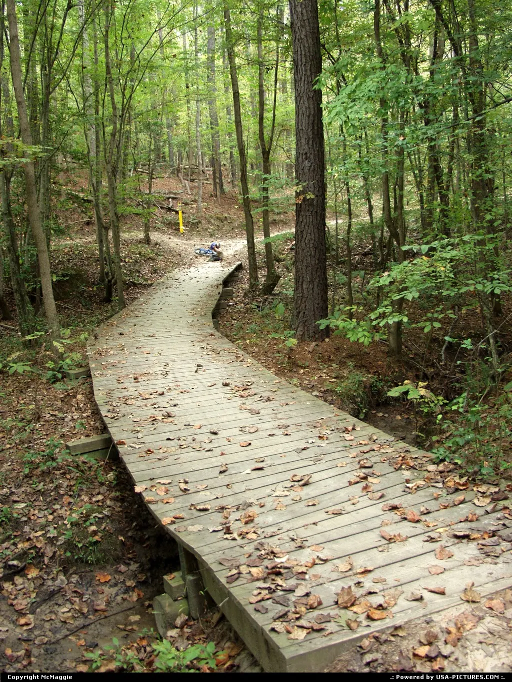 Mountain biking trails, Freedom Park, free black settlement in James City County, Willi...