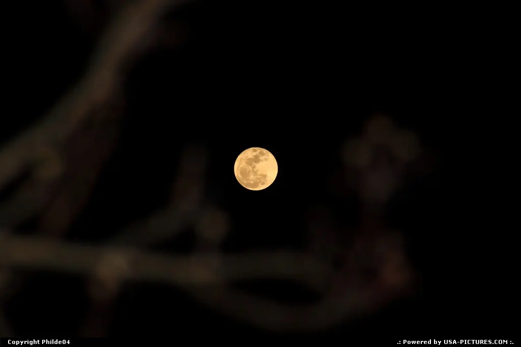 Full Moon