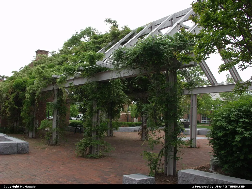 Wisteria arbor, courtyard, Williamsburg Regional Library, Williamsburg, Virginia.