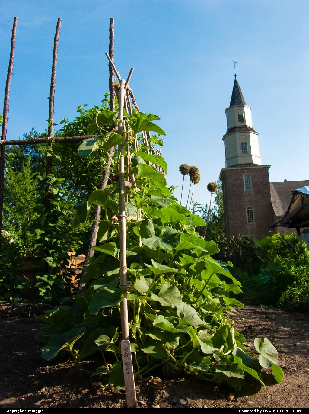 View of Bruton Parish Episcopal Church from the kitchen gardens, Duke of Gloucester Str...