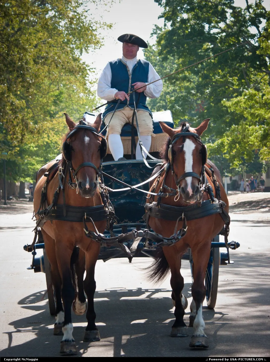 Horse-drawn carriage, Duke of Gloucester Street, Colonial Williamsburg, Williamsburg, V...