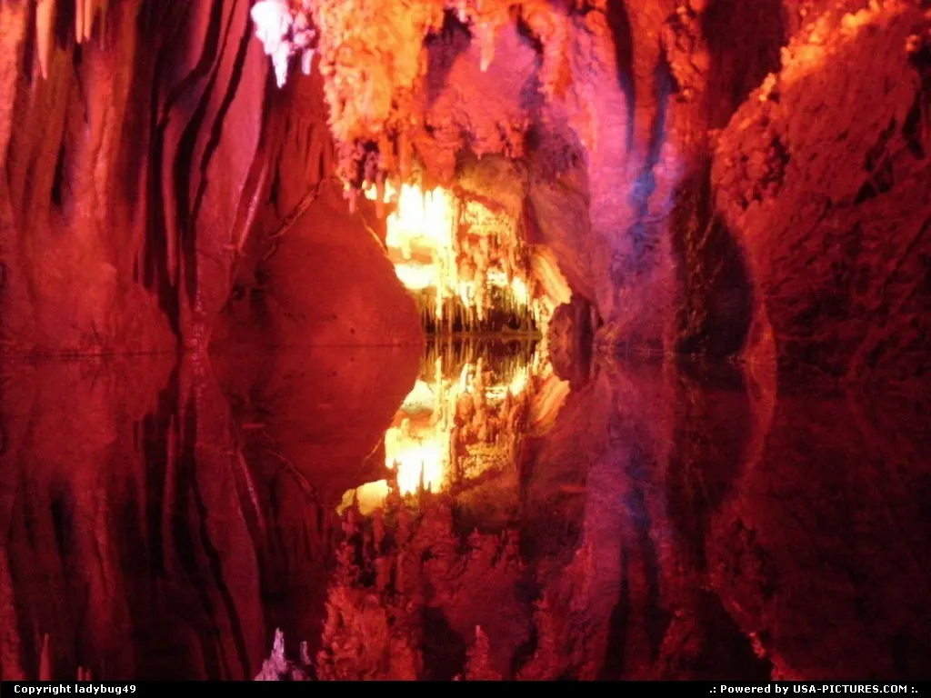 Shenandoah Caverns is a fantastic place and you never know what you are going to run into.