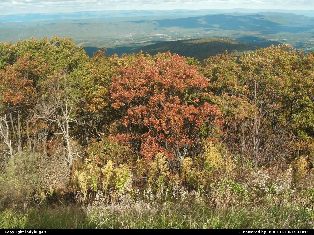 The Fall is the best time to drive through Shenandoah Valley.