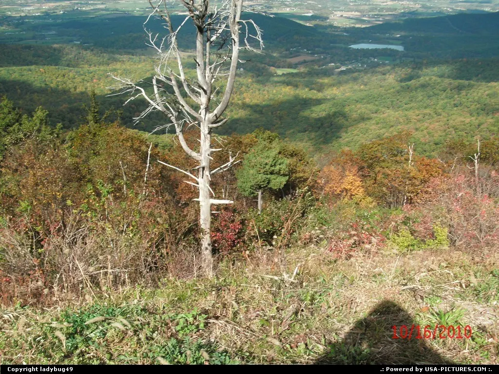 I had gotten out of the car on the Blue Ridge Parkway and it struck me.