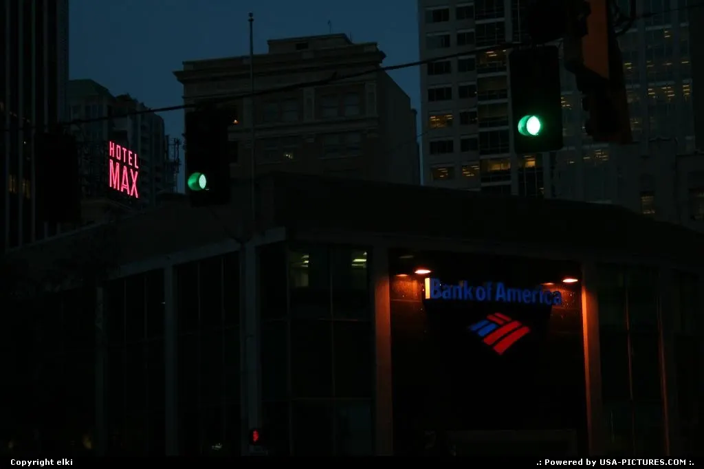 Downtown neons by night