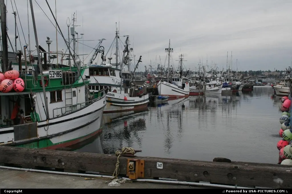 Fishermen's terminal in Seattle