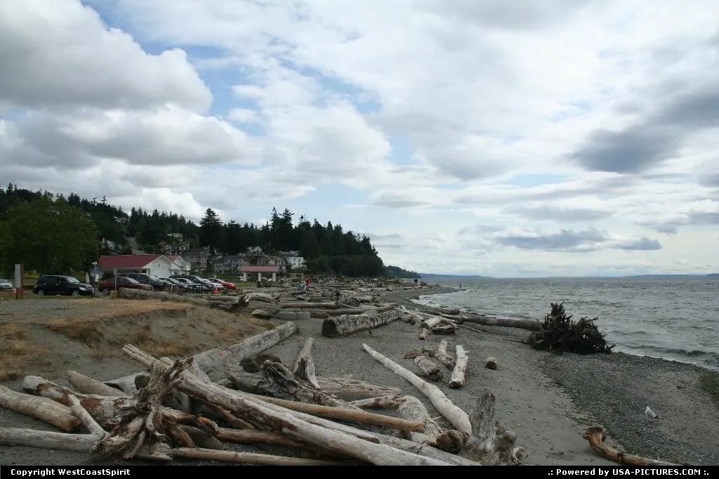 A piece of wilderness, spirit of Washington State. Here in Mukilteo State Park.