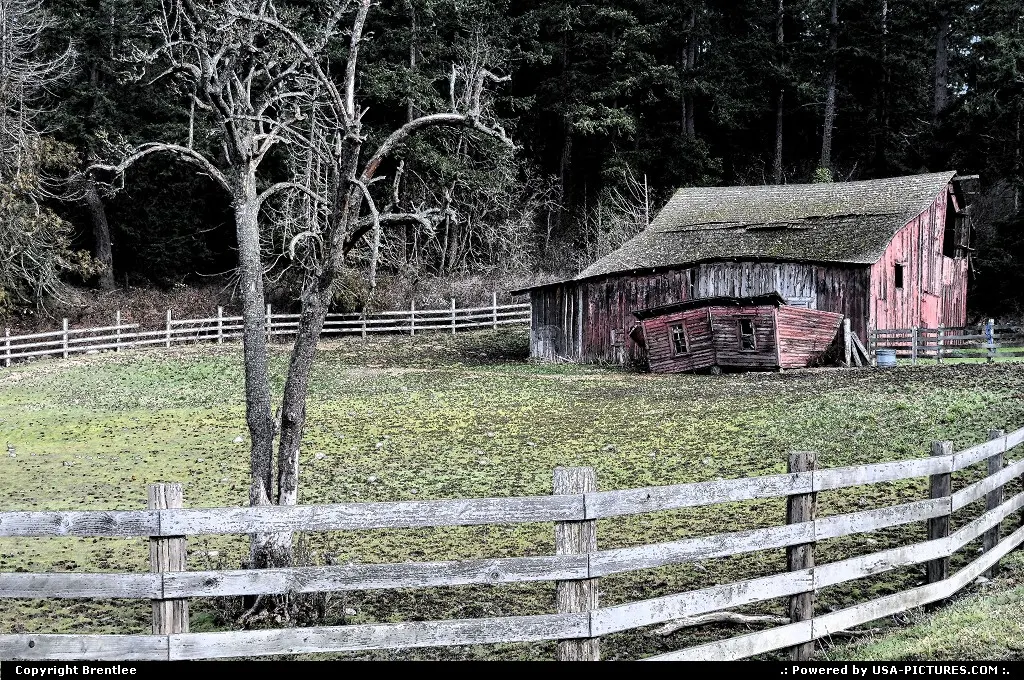 Winter Barn