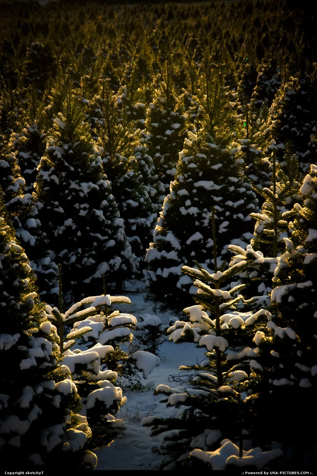 Woodinville Washington
