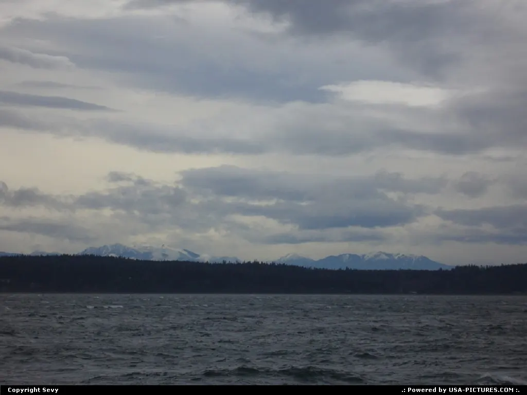 Whalewatching