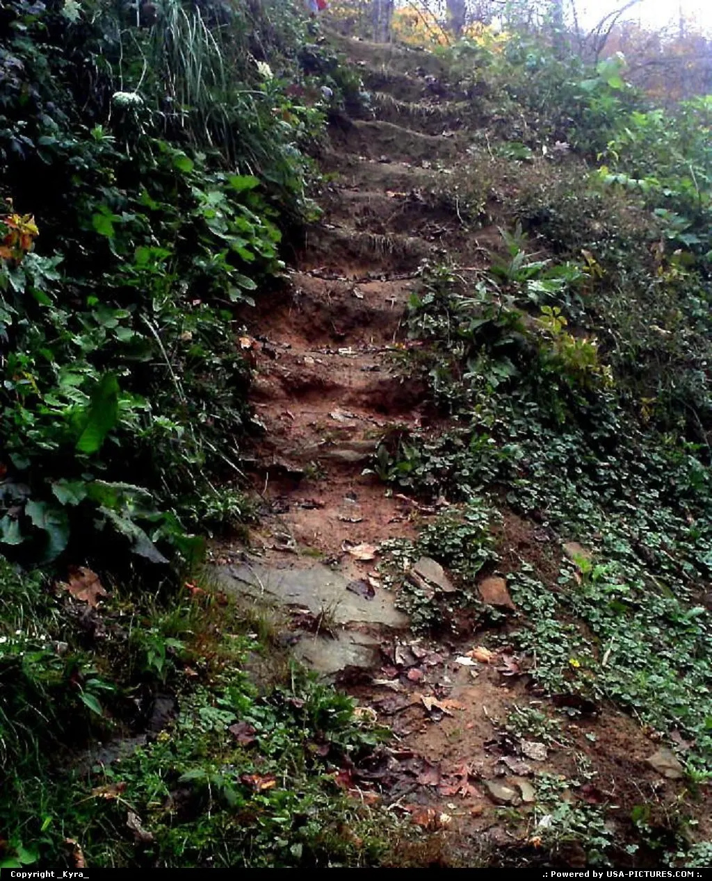 Clear Fork W-virginia steps, mountain, rain, water, mountain