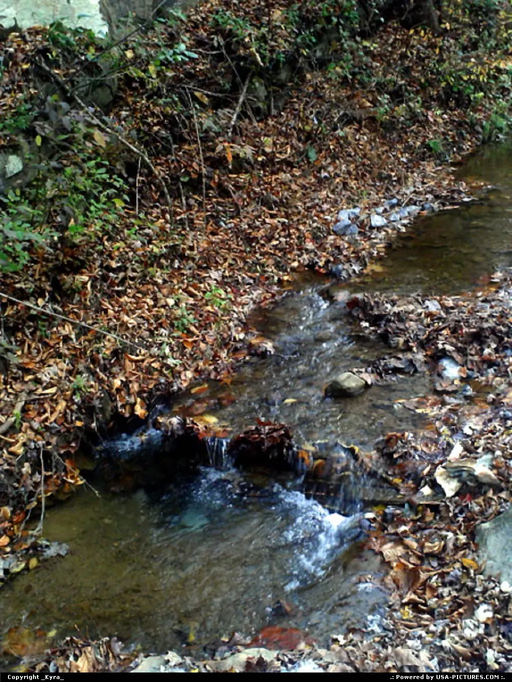 Clear Fork W-virginia creek, water, crystal, fall, autum