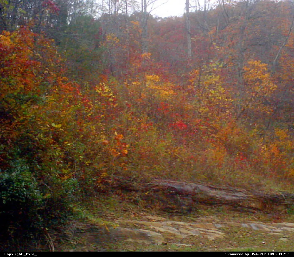 Clear Creek W-virginia mountain, rocks, autum, fall, trees