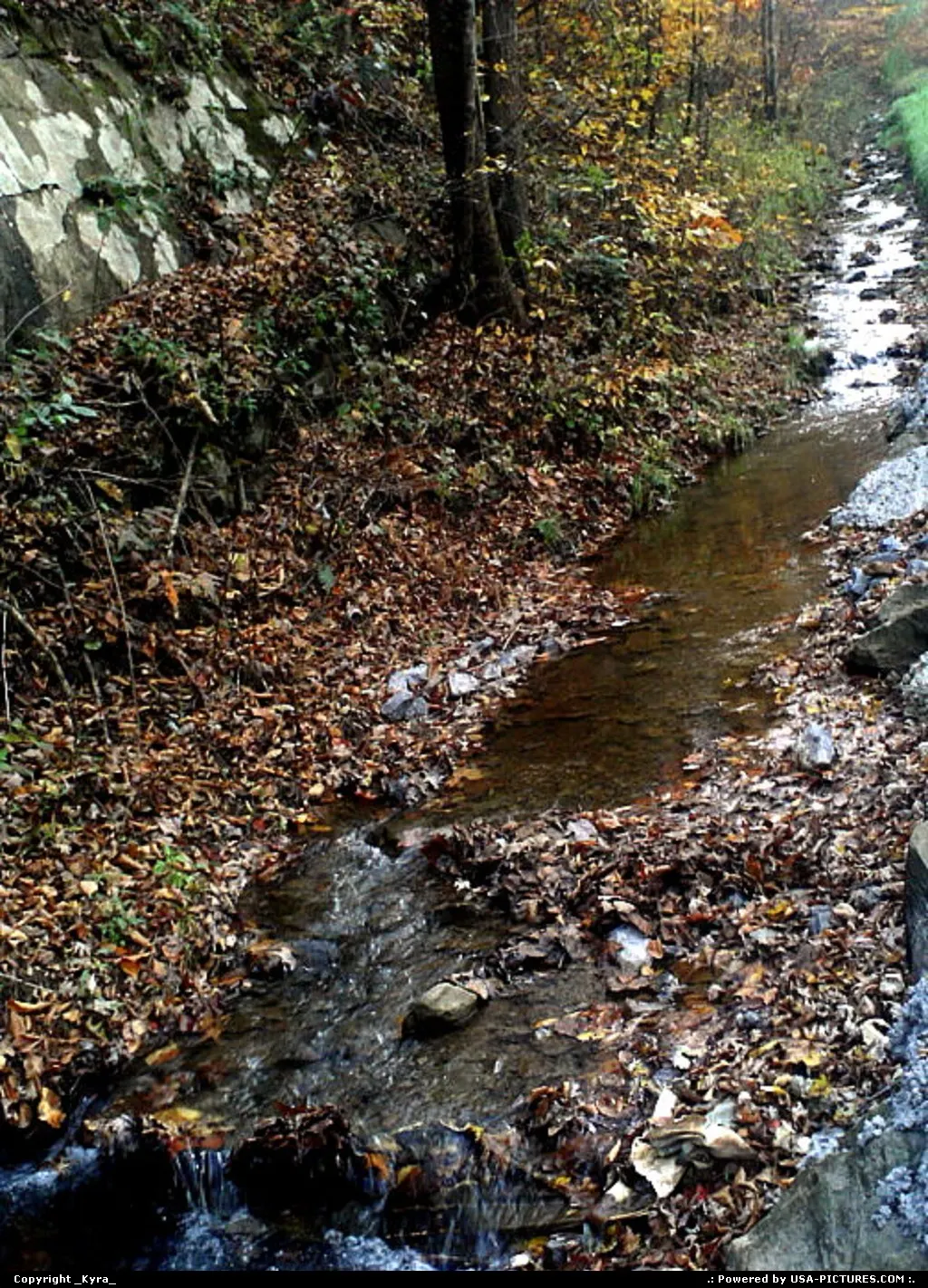 Clear Fork W-virginia stream, leafs, leaves, water, mountain, fall, autum