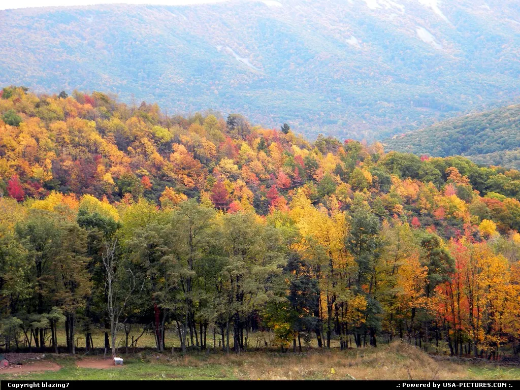 Multi-colored blanket of forest in the mountains of West Virginia