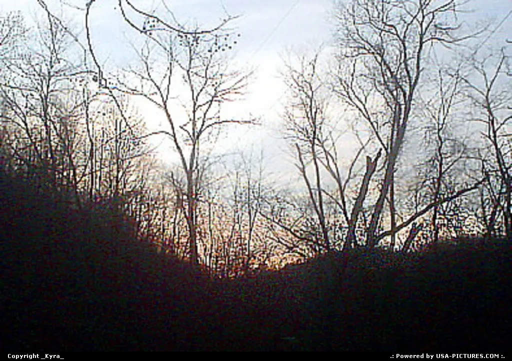 Not in a City W-virginia trees, colorful, yellow, mountains, forest, dark, sunset, even...