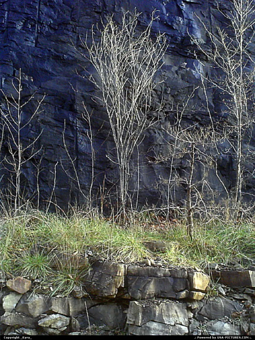Justice W-virginia trees, mountain, fall, autum, dark, rock, stone, branches, bare