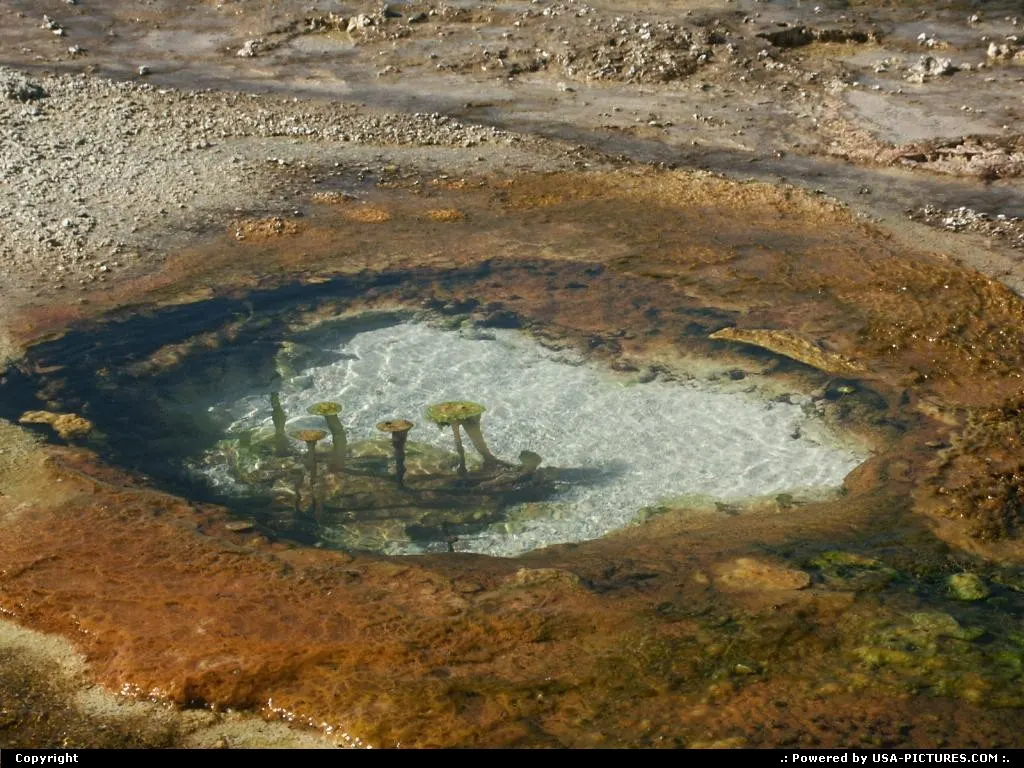 Interesting details in this natural pool. Looks like mushrooms?