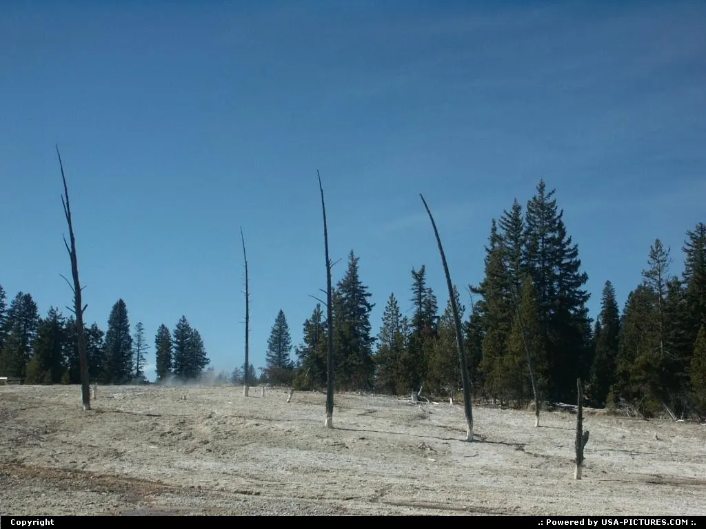 Wilderness in Yellowstone