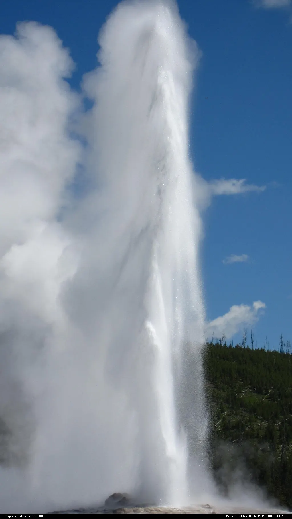 Old Faithful erumping.