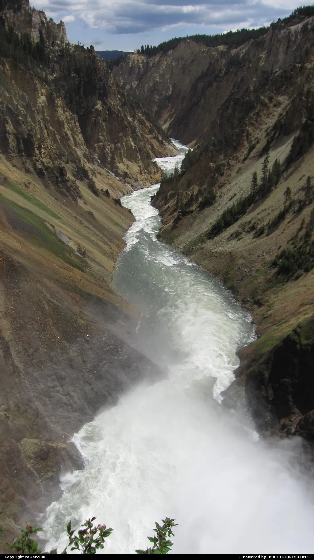 Looking downstream into the Grand Canyon of the Yellowstone from the brink of the Lower...