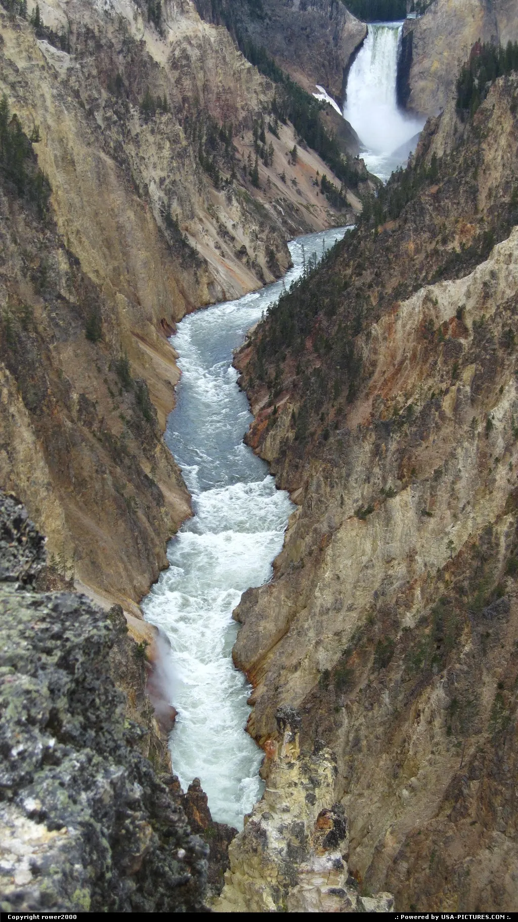 View from Artist's Point to the Lower Falls of the Yellowstone.