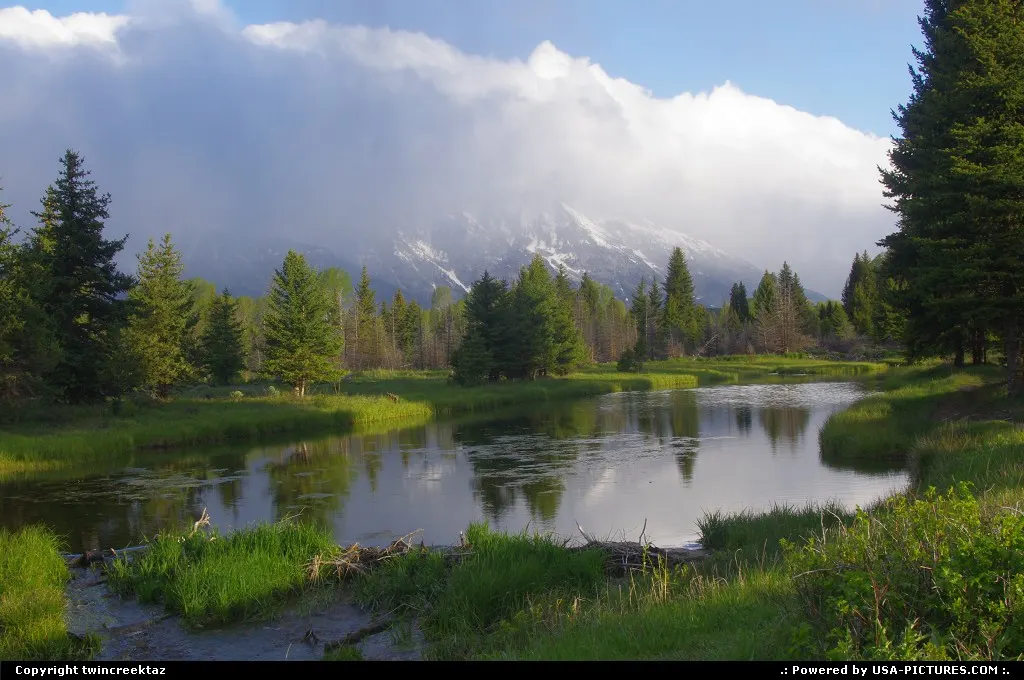 Morning number five at Schwabacher's Landing on our Teton trip.