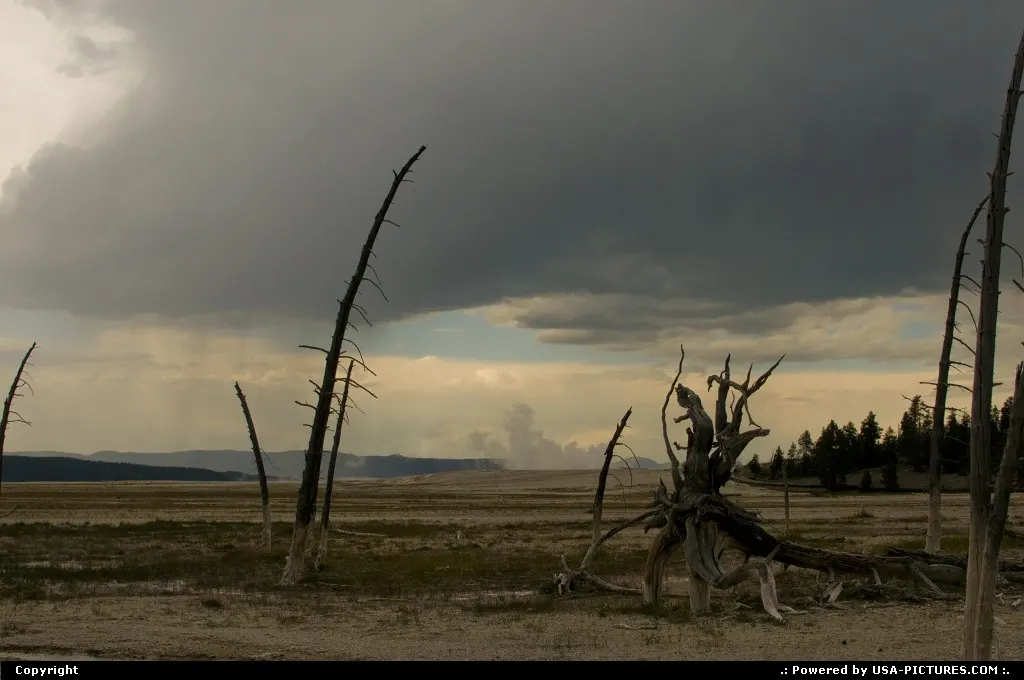 YELLOWSTONE WYOMING