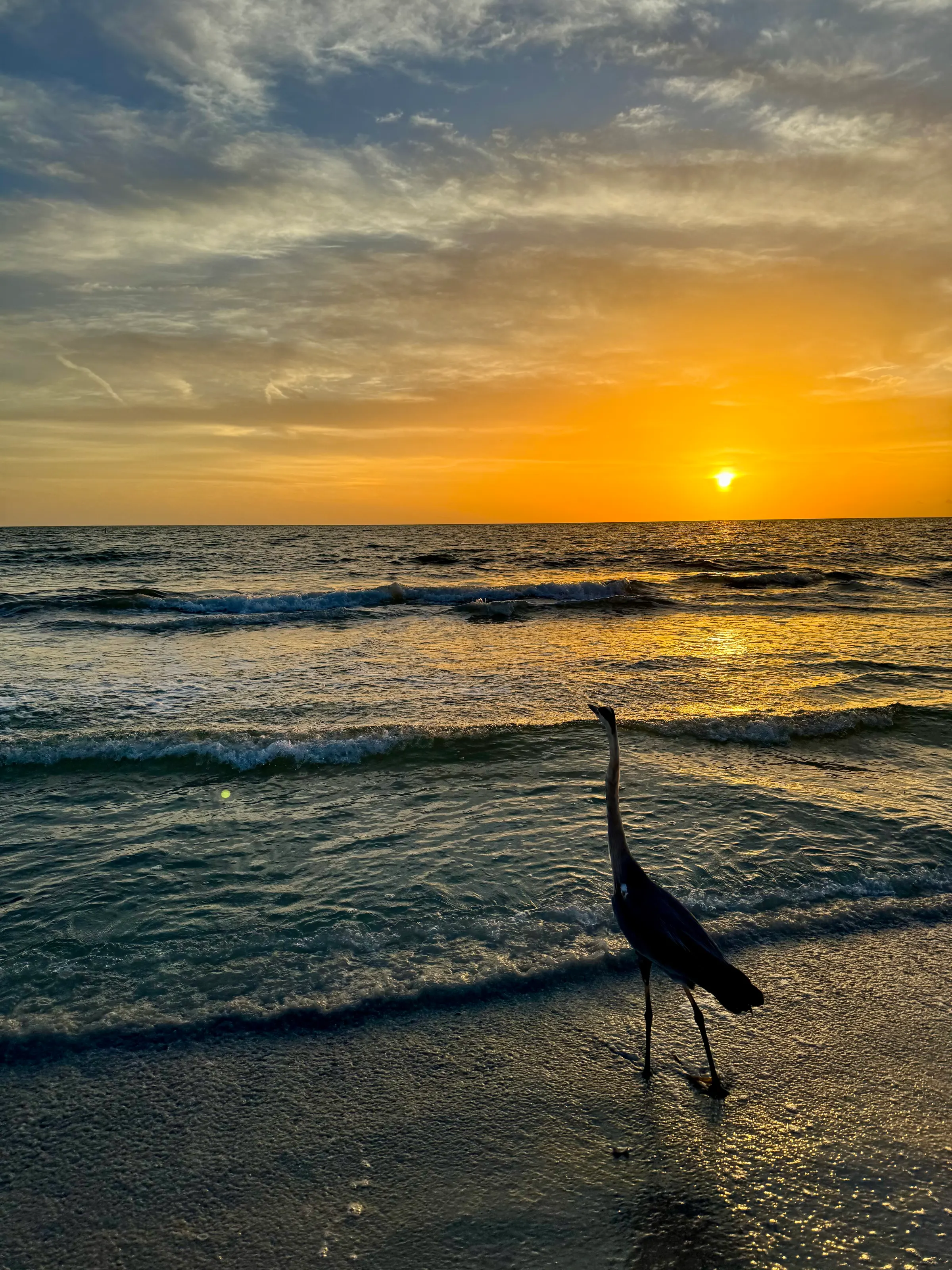 Near Indian Rocks Beach, Florida